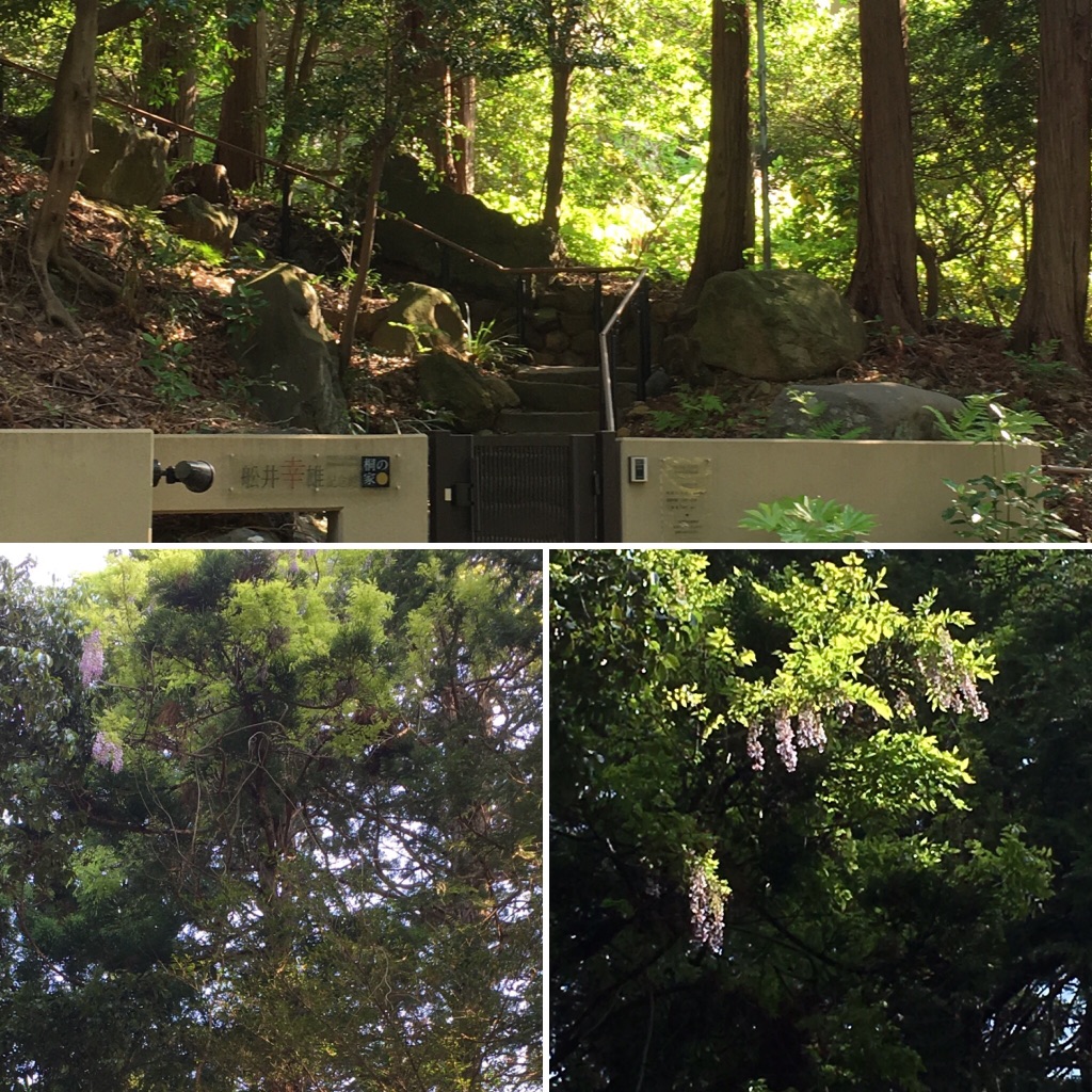 Image-1